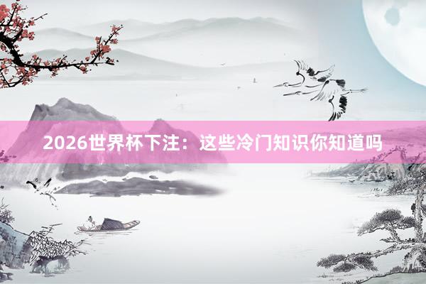 2026世界杯下注：这些冷门知识你知道吗
