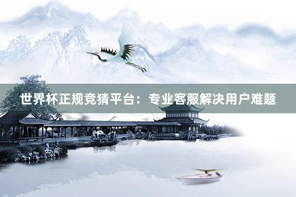 世界杯正规竞猜平台：专业客服解决用户难题